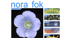 Desktop Screenshot of norafok.com