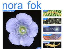 Tablet Screenshot of norafok.com